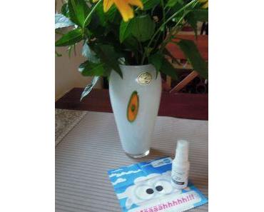 Lensbest.de – und Du bekommst den Durchblick ;-)