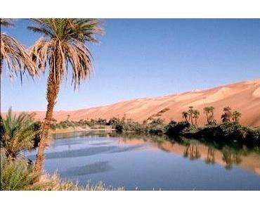 unterwegs: Libyen - der Beduinenzausel tritt ab