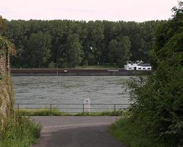 Bonn | 2 | 2011