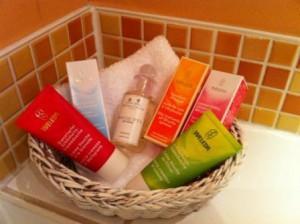 Weleda Workshop 2011