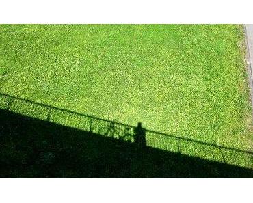 neulich: Brückenspucken