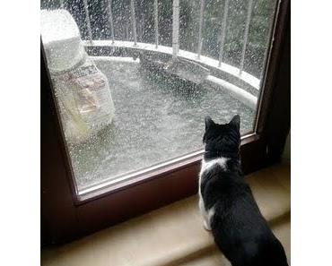 "Kleiner Regenschauer"