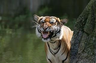 ein Besuch im Zoo Berlin
