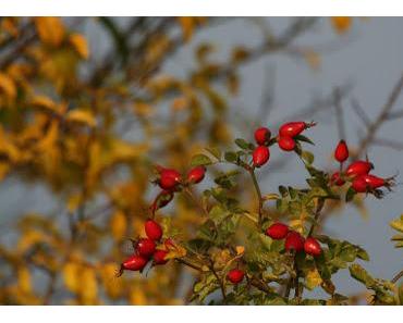 Richte Deinen Blick auf das Positive in Deinem Leben!