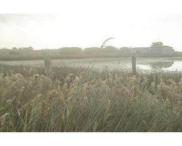 Reisebericht: dreimal über die Rhone