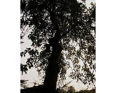 Fototour Teil 2 von Beccy