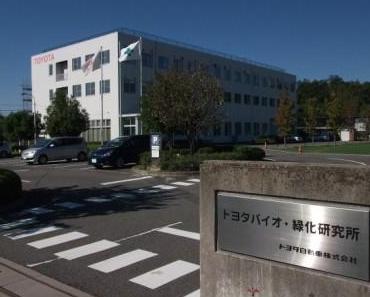 Toyota entwickelt neues Produktionsverfahren für Biokraftstoff