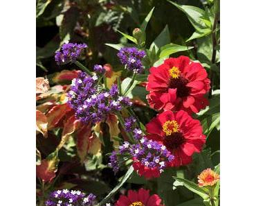 Es kommt auf die kleinen Dinge an!