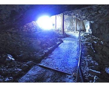 Visite bei den Frühappenzellern