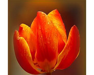 Hör auf, Dich unnütz zu sorgen!