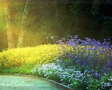 Leinwand mit Tiefpreisgarantie