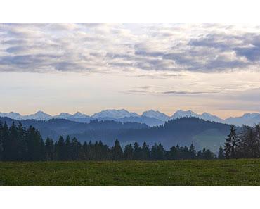 Ahorn objektiv, Ahorn subjektiv