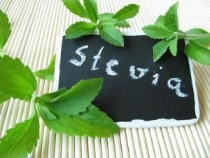 Stevia endlich als Zuckerzusatz erlaubt
