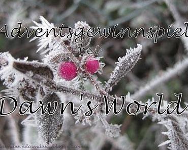 Großes Adventsgewinnspiel!