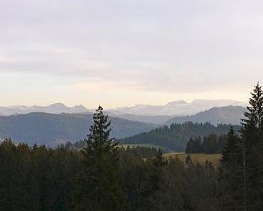 Ade, Martinisommer, ade