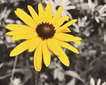 9. Dezember - vom Alter(n)