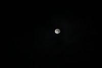 wallpaper-1689754