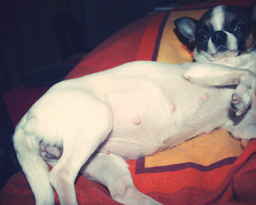 Meine Prinzessin wird Mama!Ich freu mich so für sie, hoff...