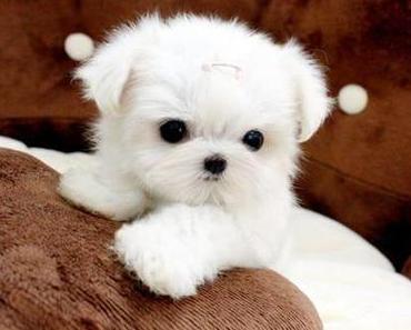 Das müsst ihr lesen!