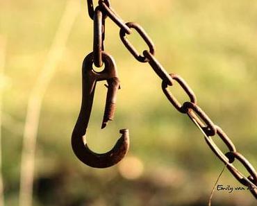 Bilder mit meinem neuen Objektiv