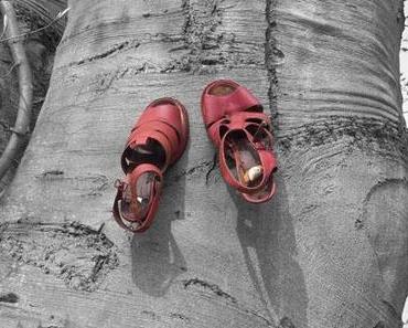 Sonntags-(Schnapp)-Schuss #03