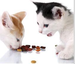 Katzenfutter "Wahre Liebe" kostenlose Probe