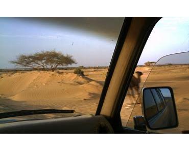 PPQ in eigener Sache: Mogadischu, Fensterplatz