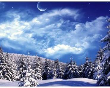 10 Dinge an denen man erkennt, dass der Winter zu kalt ist.