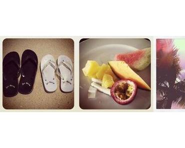 wochenrückblick 05/12