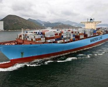 Rederei Maersk testet Algen Treibstoff