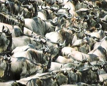 Gewandert, gesprudelt, gebronzt