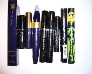 Mascaras, die ich benutze |  Mascaras, I am using