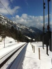 Rigi hell, Rigi dunkel