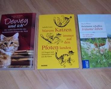 Kunterbunte Sonntagslektüre