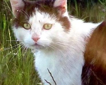 Der erhobene Zeigefinger