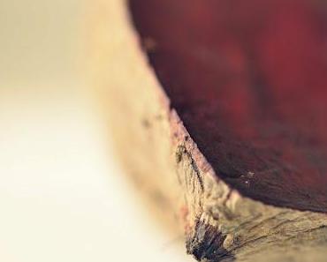 Die Schöne der Erde