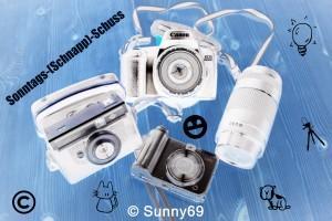 Sonntags–Schnapp Schuss #11