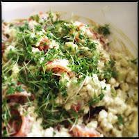 Cottage Cheese mit Avocado und Kürbiskernöl