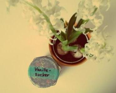 Geschenk für eine Cakebloggerin – selbst gemachter Vanillezucker