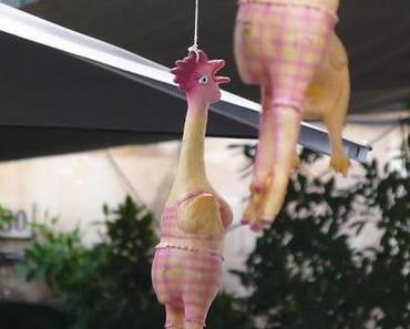 Kritischer Blick: Ich wollt ich wär ein Huhn, oder doch nicht?