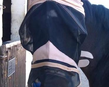 Batman 1 und Batman 2