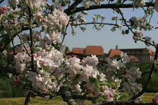 Stempeln in den Mai  - Einladung zu einer "Kreativen Auszeit"