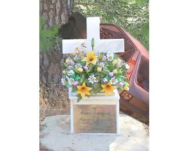 Unfallzahlen und Klimaschutz zählen nicht, mehr Tempo muss sein