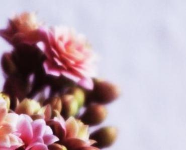 wallpaper-1689754