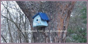 “Sonntags-(Schnapp)-Schuss“ – Blogparade – Nr. 15 ;-)