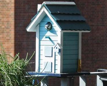 Darf ich euch jemanden vorstellen?