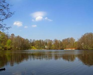 Waldsee in Berlin-Hermsdorf
