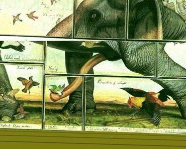 Hensel´s Sonntagsmatinee: der fünfdimensionale Elephant