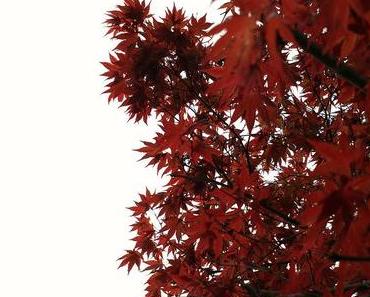 Zwischen Tür und Angel