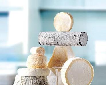 Ein Traum aus Ziegenkäse